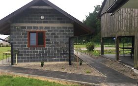 Nasza Polana Pokoje Noclegi Pieskowa Skala Ojcow